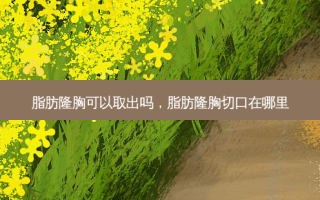 脂肪隆胸可以取出吗，脂肪隆胸切口在哪里