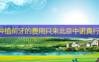 种植前牙的费用只来北京中诺真行