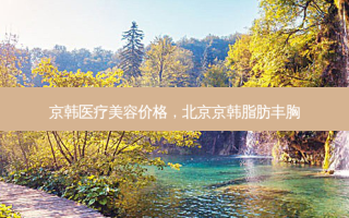 京韩医疗美容价格，北京京韩脂肪丰胸