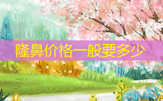 隆鼻价格一般要多少