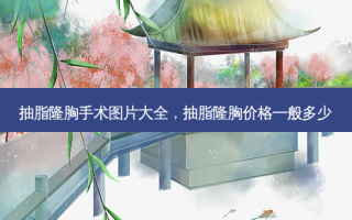 抽脂隆胸手术图片大全，抽脂隆胸价格一般多少