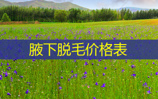 腋下脱毛价格表