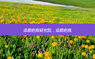 成都疤痕研究院，成都疤痕
