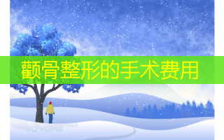 颧骨整形的手术费用