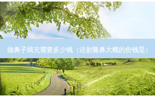 做鼻子填充需要多少钱（注射隆鼻大概的价钱是）