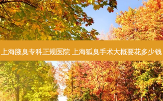 上海腋臭专科正规医院 上海狐臭手术大概要花多少钱