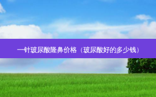 一针玻尿酸隆鼻价格（玻尿酸好的多少钱）
