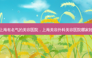 上海有名气的美容医院，上海美容外科美容医院哪家好