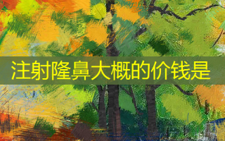 注射隆鼻大概的价钱是