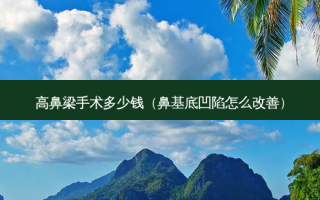 高鼻梁手术多少钱（鼻基底凹陷怎么）