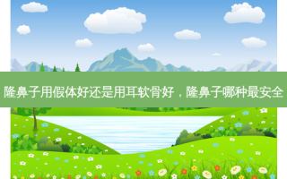 隆鼻子用假体好还是用耳软骨好，隆鼻子哪种最 *** 