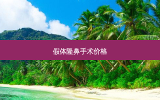 假体隆鼻手术价格