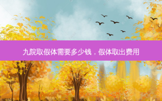 九院取假体需要多少钱，假体取出费用