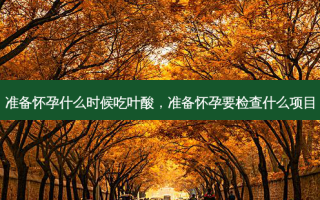 准备怀孕什么时候吃叶酸，准备怀孕要检查什么项目