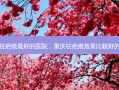 重庆祛疤痕 *** 的医院，重庆祛疤痕效果比较好的医院