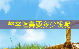 整容隆鼻要多少钱呢