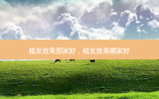植发效果那家好，植发效果哪家好