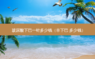 玻尿酸下巴一针多少钱（丰下巴 多少钱）