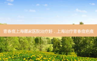 青春痘上海哪家医院治疗好，上海治疗青春痘疤痕