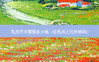  *** 手术需要多少钱（往 *** 上扎针疼吗）