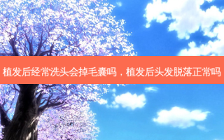 植发后经常洗头会掉毛囊吗，植发后头发脱落正常吗