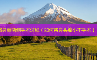 缩鼻翼两侧手术过程（如何将鼻头缩小不手术）