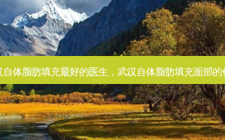 武汉自体脂肪填充 *** 的医生，武汉自体脂肪填充面部的价格