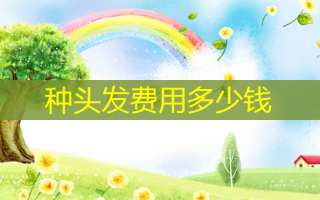 种头发费用多少钱