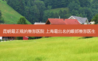 昆明正规的整形医院 上海出名的眼部整形医生