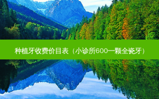 种植牙收费价目表（小诊所600一颗全瓷牙）