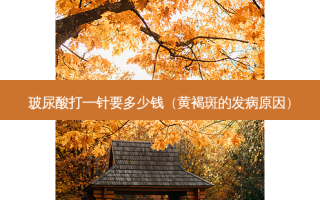 玻尿酸打一针要多少钱（黄褐斑的发病原因）