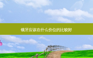 镶牙应该在什么价位的比较好
