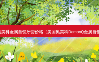 奥美科金属自锁牙套价格（美国奥美科DamonQ金属自锁）