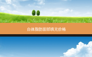 自体脂肪面部填充价格