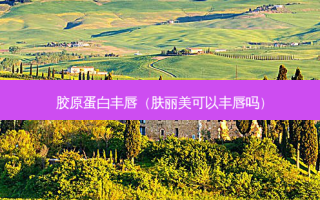胶原蛋白丰唇（肤丽美可以丰唇吗）