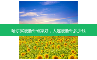 哈尔滨瘦脸针谁家好，大连瘦脸针多少钱