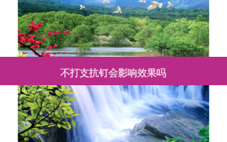 不打支抗钉会影响效果吗