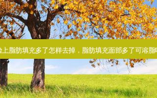 脸上脂肪填充多了怎样去掉，脂肪填充面部多了可溶脂吗