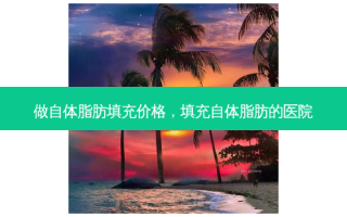 做自体脂肪填充价格，填充自体脂肪的医院