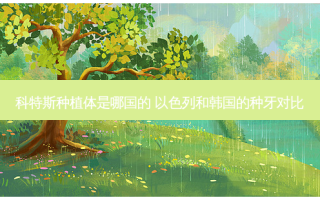 科特斯种植体是哪国的 以色列和韩国的种牙对比
