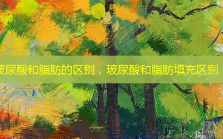 玻尿酸和脂肪的区别，玻尿酸和脂肪填充区别