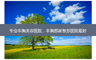专业丰胸美容医院，丰胸那家整形医院 *** 
