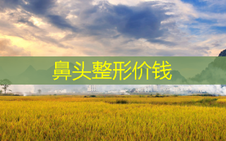 鼻头整形价钱