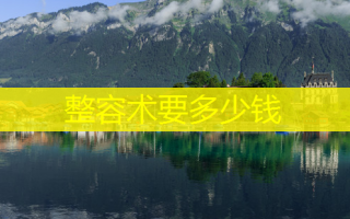 整容术要多少钱