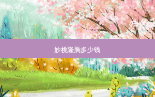 妙桃隆胸多少钱