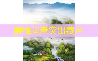 腰椎间盘突出费用
