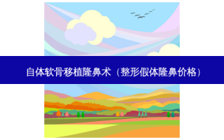 自体软骨移植隆鼻术（整形假体隆鼻价格）