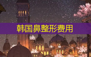 韩国鼻整形费用
