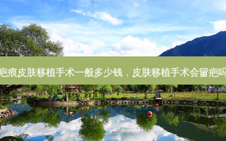 疤痕皮肤移植手术一般多少钱，皮肤移植手术会留疤吗