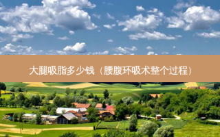 大腿吸脂多少钱（腰腹环吸术整个过程）